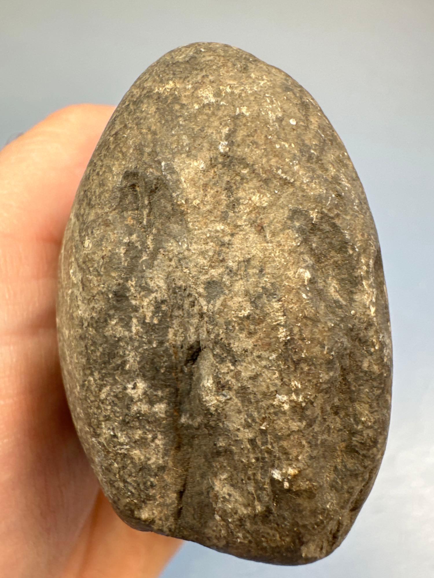 3" Grooved Hammerstone, Found in New Jersey, Polish on Groove, Ex: Bob Sharp Collection
