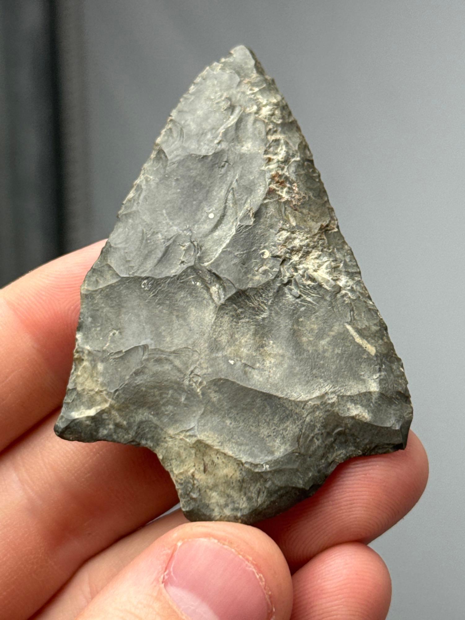 2 3/4" Normanskill Chert Lehigh Broadpoint, Nice Coloration, Found in New Jersey