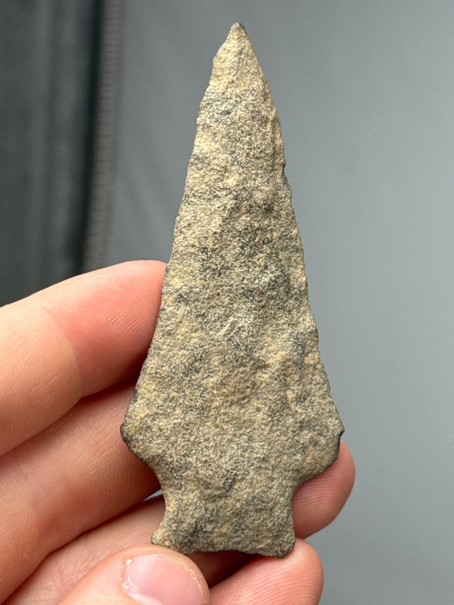 3 5/16" Argillite Transitional Broad Spear, Found in New Jersey