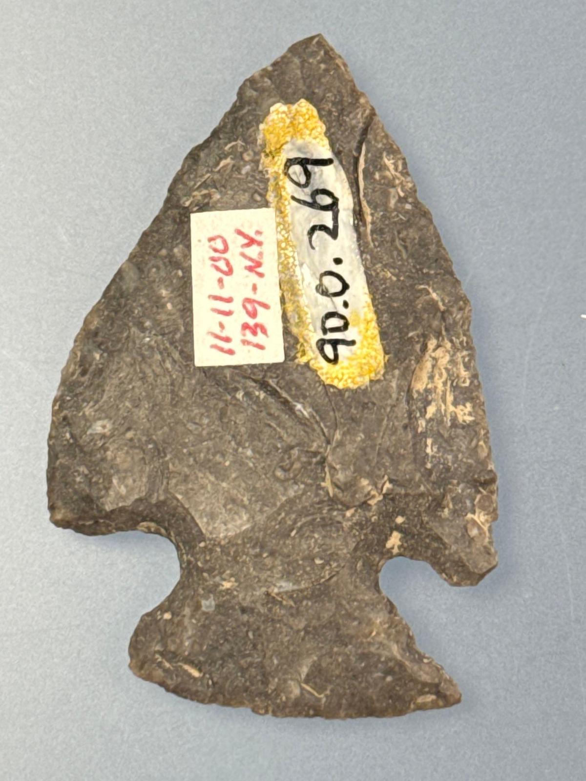 SUPERB 1 1/8" Onondaga Chert Jacks Reef Corner Notch, Found in New York, Ex: Dave Collins Collection