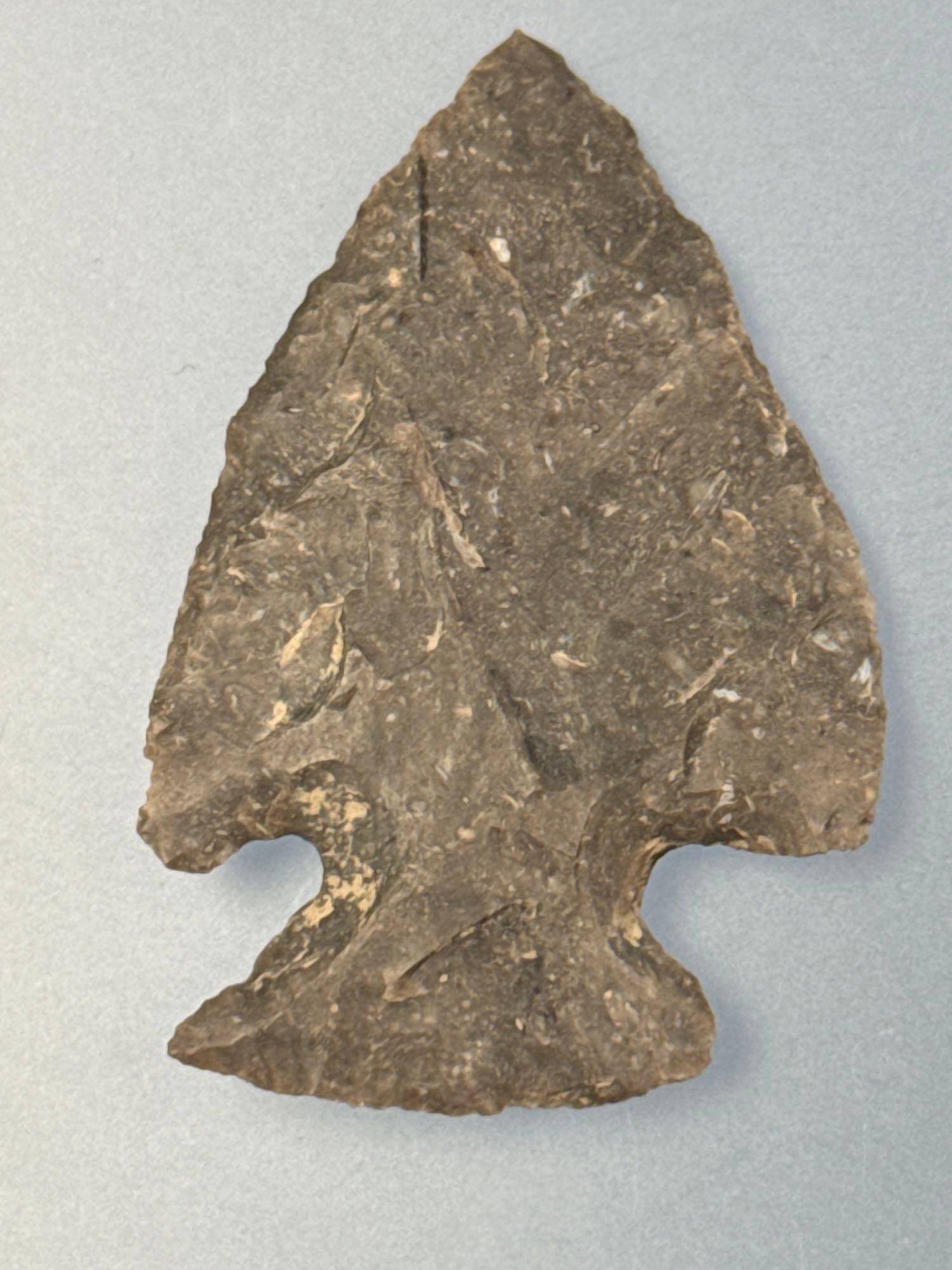 SUPERB 1 1/8" Onondaga Chert Jacks Reef Corner Notch, Found in New York, Ex: Dave Collins Collection