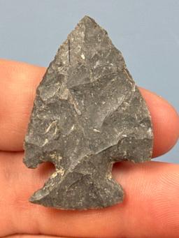 SUPERB 1 1/8" Onondaga Chert Jacks Reef Corner Notch, Found in New York, Ex: Dave Collins Collection