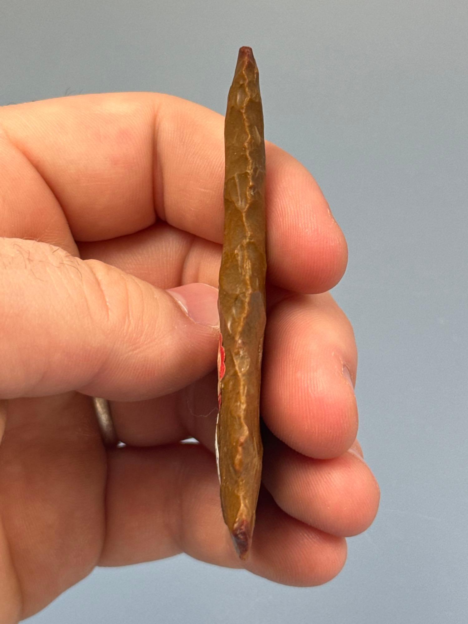 STUNNING 3 1/8" Jasper Meadowood, Anciently Resharpened, Found in Lehigh Co., PA, Heat Treated Tip a