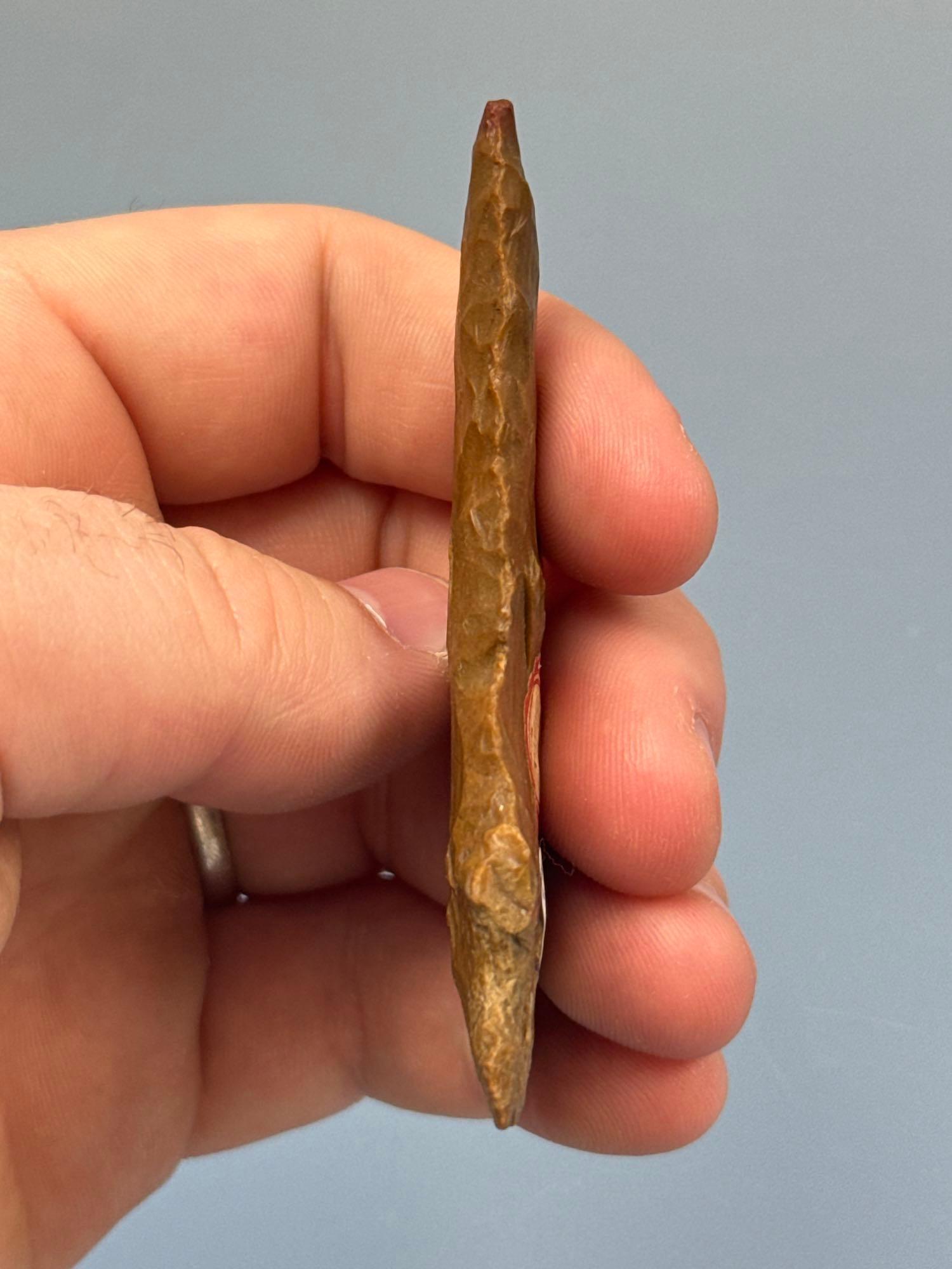 STUNNING 3 1/8" Jasper Meadowood, Anciently Resharpened, Found in Lehigh Co., PA, Heat Treated Tip a