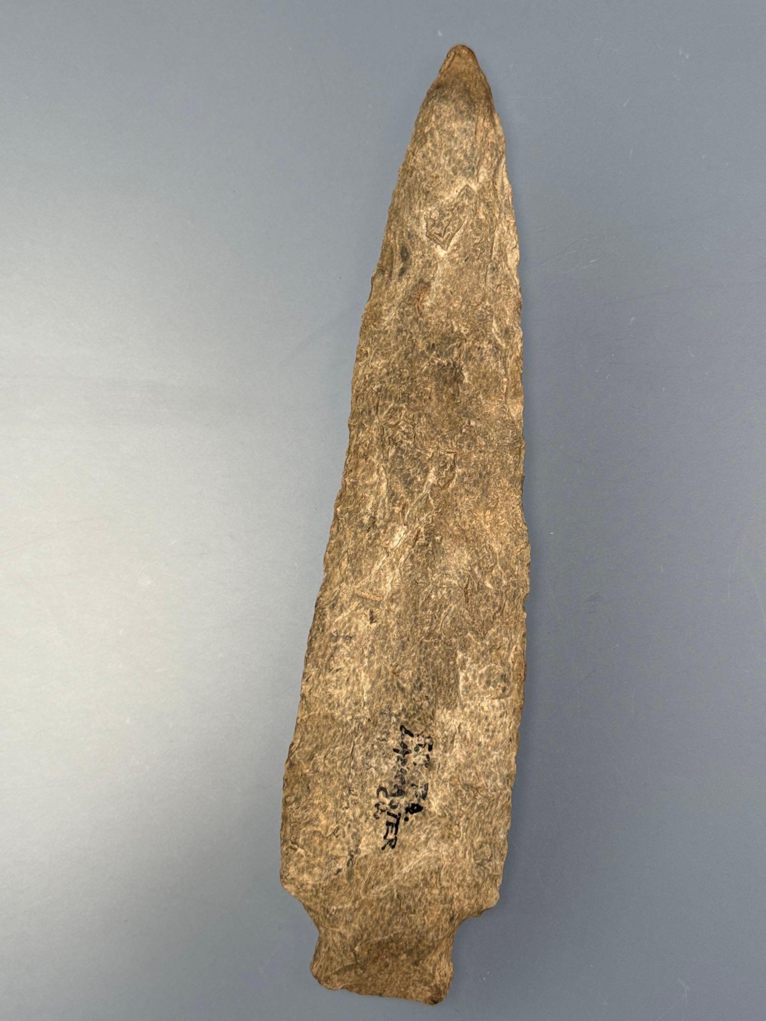 HIGHLIGHT Massive 8" Rhyolite Archaic Stem Point, HUGE and Well-Made for Size, Found in Lancaster Co