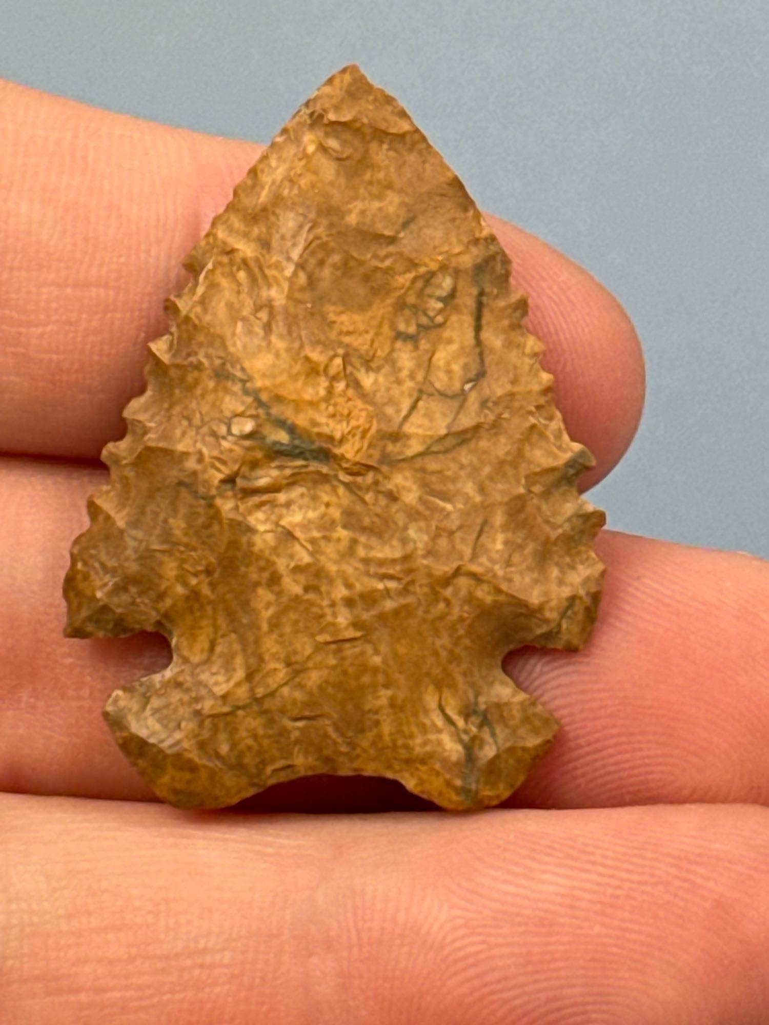 FINE 1 1/2" Jasper Kessel, Found in Salem Co., NJ, BEST of BEST! Serrated