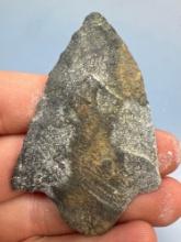 2 1/2" Heavily Patinated Morrow Mountain Point, Found in Kent Co., Maryland