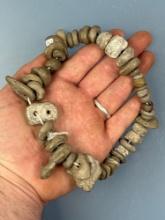 Strand of 49 Fossil "Beads" with holes, Naturally occuring, (similar pieces have been associated wit