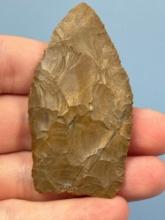 FINE 2 3/4" THIN Jasper Jacks Reef Pentagonal, Found in Hummelstown, Dauphin Co., PA, Fantastic Exam