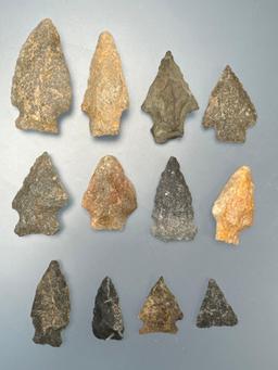 12 Various Quartzite, Chert, Chalcedony Arrowheads, Found in Northampton Co., PA, Longest is 1 7/8",