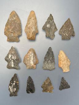 12 Various Quartzite, Chert, Chalcedony Arrowheads, Found in Northampton Co., PA, Longest is 1 7/8",