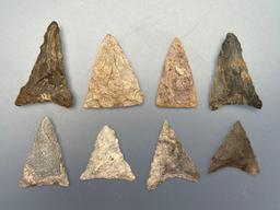 8 Mainly Rhyolite/Chert Triangle Points, Longest is 1 9/16", Found in Jim Thorpe Area in Pennsylvani