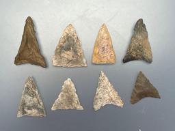 8 Mainly Rhyolite/Chert Triangle Points, Longest is 1 9/16", Found in Jim Thorpe Area in Pennsylvani