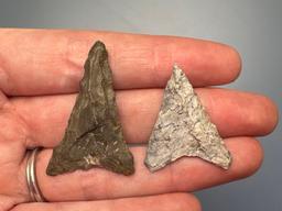 8 Mainly Rhyolite/Chert Triangle Points, Longest is 1 9/16", Found in Jim Thorpe Area in Pennsylvani