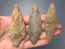 3 Poplar Island Points, Archaic Arrowheads, Longest is 3 1/2", Quartzite, Found in Lancaster Co., PA