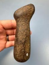 Exceedingly Rare Bear Effigy Pestle, Found in New York, Ex: Raysender Collection, Well-Made, Measure