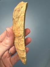 Large 4 3/4" Uniface Paleo Turtle Back Scraper, Found in Florida, Coastal Plains Chert, Superb Examp