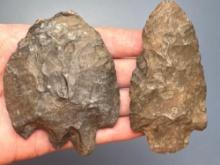 Large Stem Points, Longest is 3 3/16", Erie Co., New York, Ex: Dave Summers Collection