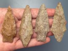 x4 Archaic Stem Points, Bare Island and Poplar Islands, Longest is 2 3/4", Found in Northampton Co.,