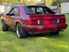1982 Ford Mustang GT Coupe. 56,000 actual miles as stated on title. Factory