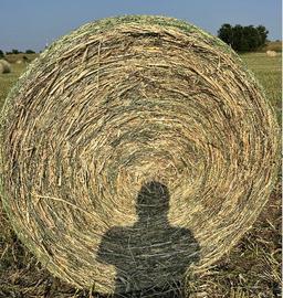 Haygrazer Round Bales