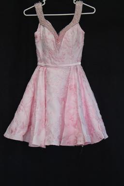 Lucci Lu Pink Brocaid Beaded Sleeveless Dress Size: 4