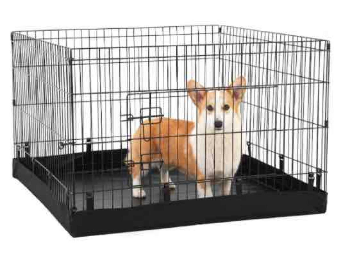 PJYuCien Foldable Exercise Metal Pet Playpen with Door and Bottom Pad