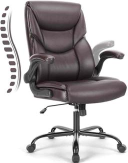 OLIXIS Executive Office Chair