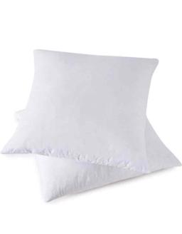 Throw Pillow Inserts, Set of 2 Down Feather Pillows Inserts Bed and Couch Pillows Cotton Cover,