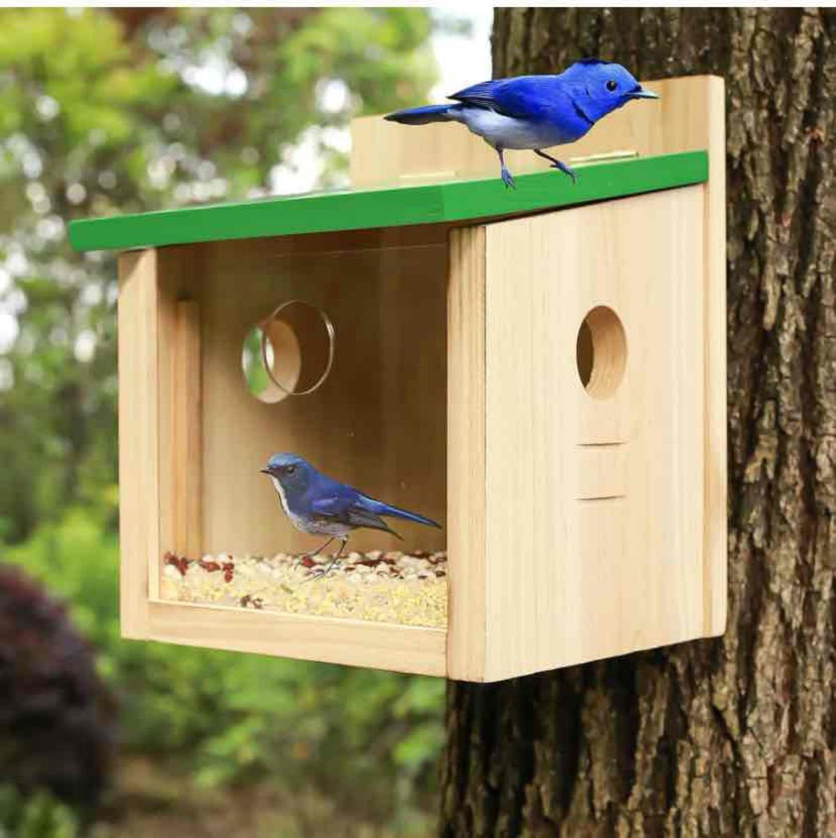 STARSWR Bird House Large Bluebird House Feeder Outdoor Mealworms Feeder for Bluebird with Viewing