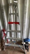 6ft Stokes Orchard Ladder