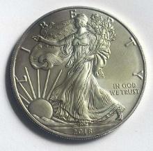 2013 American Silver Eagle