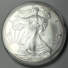 2020 American Silver Eagle