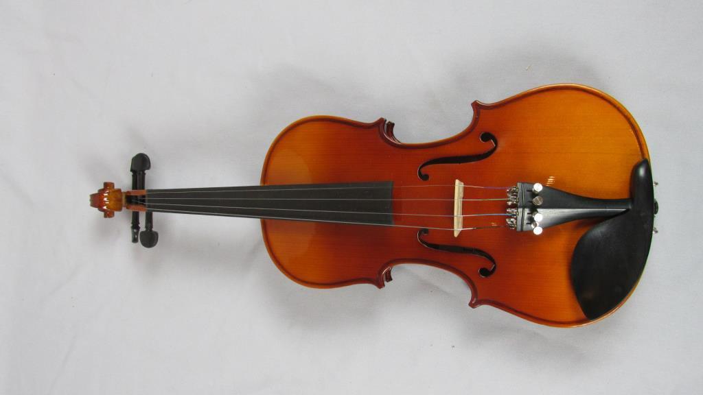 Italian Engineering Santini 24" Violin - Zone: F
