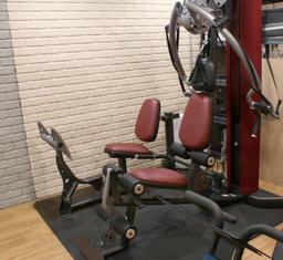 Inspire M2 Weight Machine With Leg Press - BG