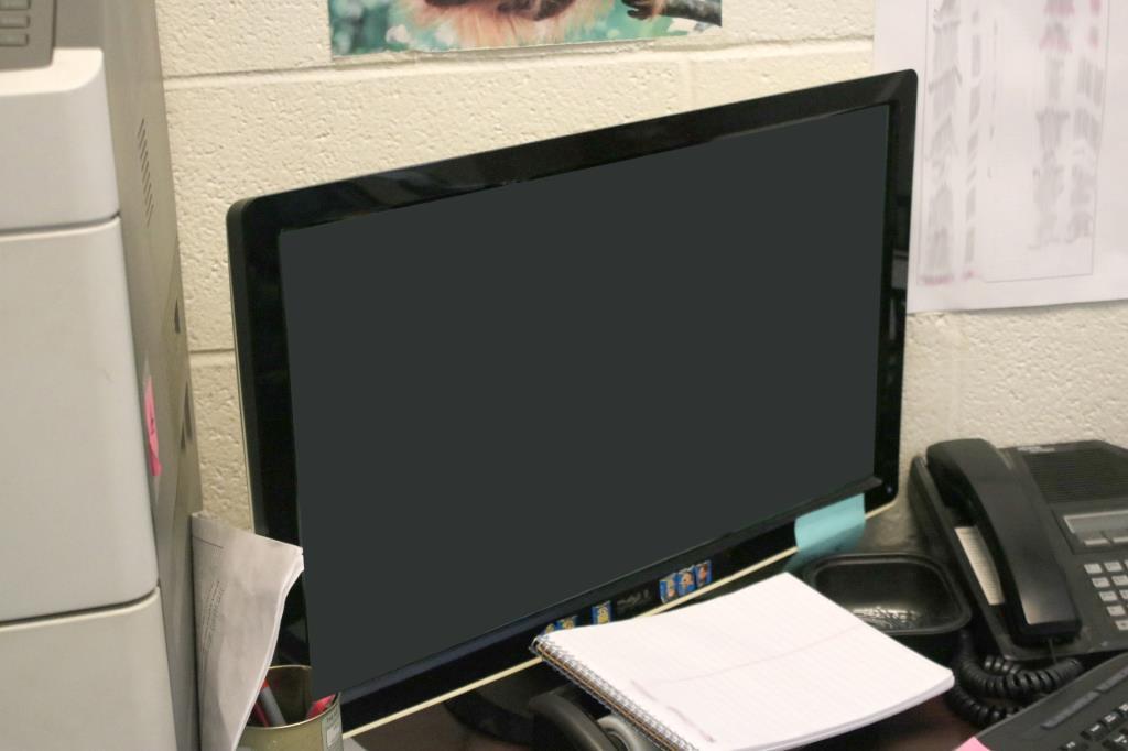 Dell 23" Monitor - DO1