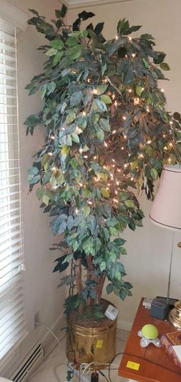 FR- 7' Natural Bark Ficus Tree With Lights