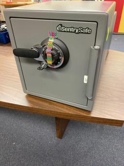 L- Sentry Safe