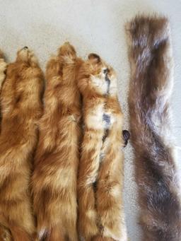 B1 - Fur Pelts