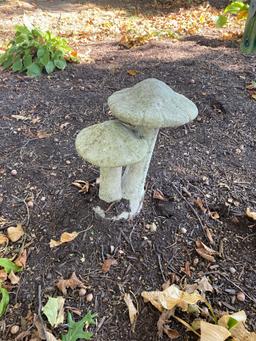 O- Peacock, Mushroom Decor