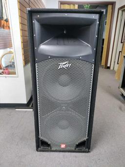 G- Peavey SP 4 Speaker