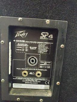 G- Peavey SP 4 Speaker