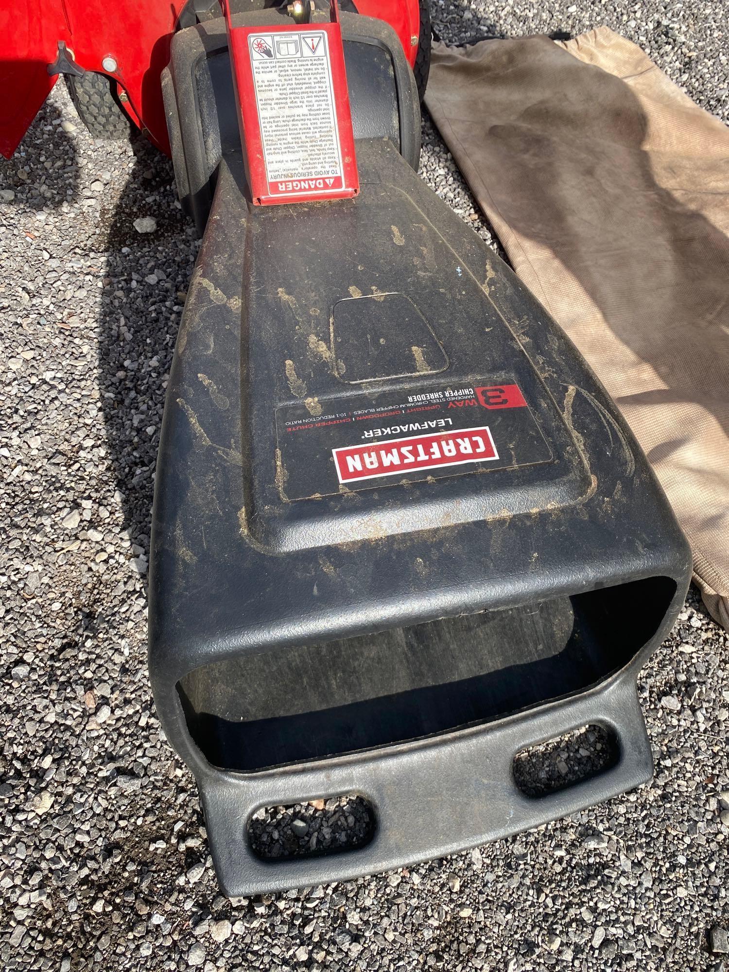 Craftsman Portable Mulcher With Bagger and Leaf Collector