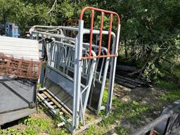 Squeeze Chute with Palpation Cage