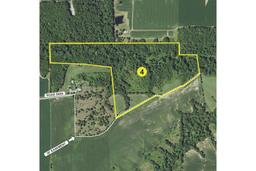 TRACT 4 - 53.60 acres