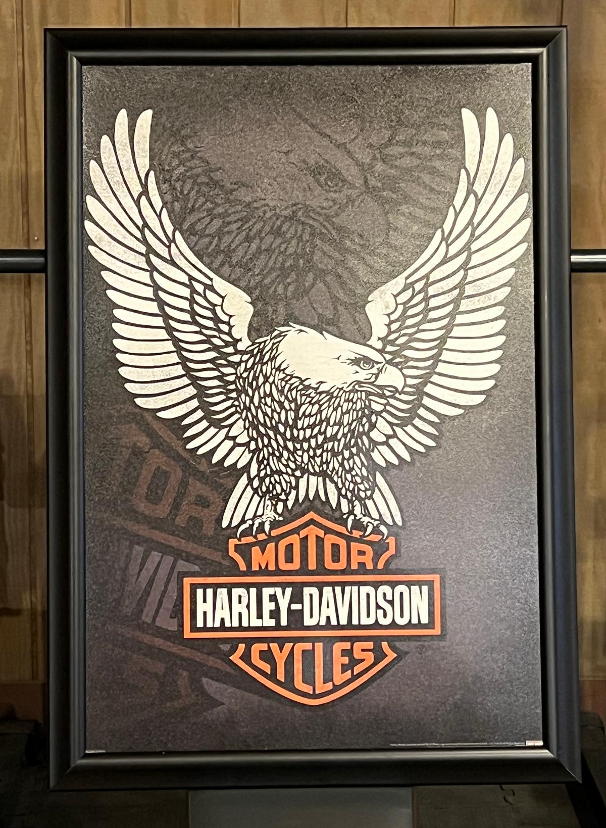 Framed Picture of Harley Davidson Eagle large
