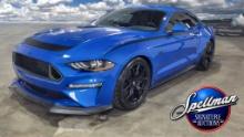2019 Ford Mustang GT Premium, RTR Series 1