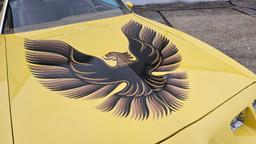 1980 Pontiac Firebird Custom Coupe