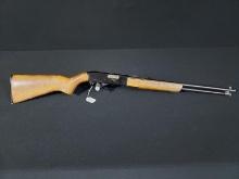 Winchester model 190  22 L or LR