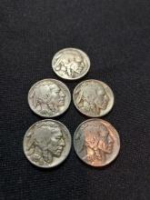 Lot of 5 Buffalo nickels
